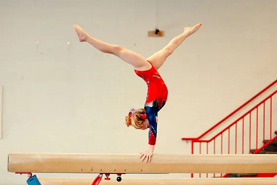 Ginnastica ritmica e artistica