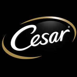 Cesar