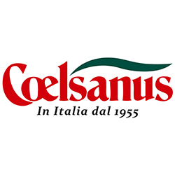 Coelsanus