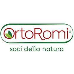 Ortoromi