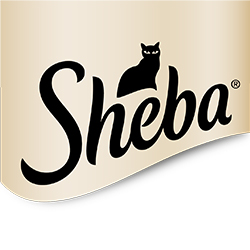 Sheeba