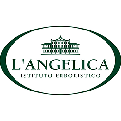 langelica