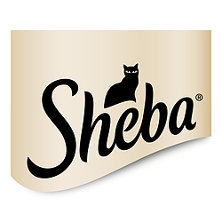 sheba